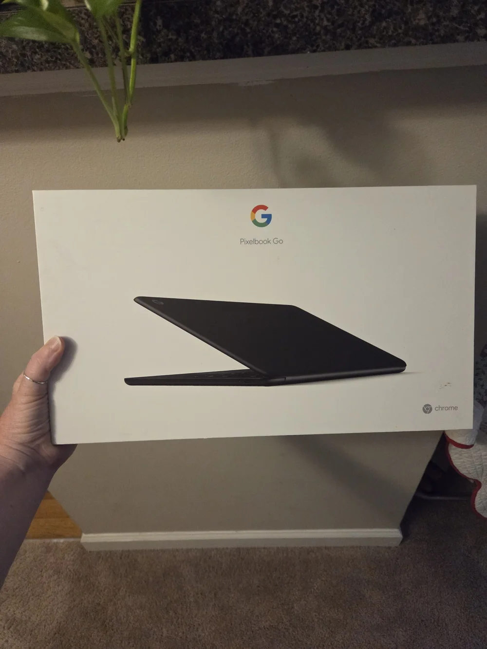google pixelbook go